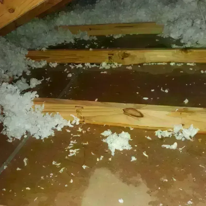 Attic Water Damage in Darrington, WA