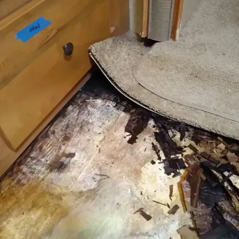 Best Wood Floor Water Damage Service in Darrington, WA